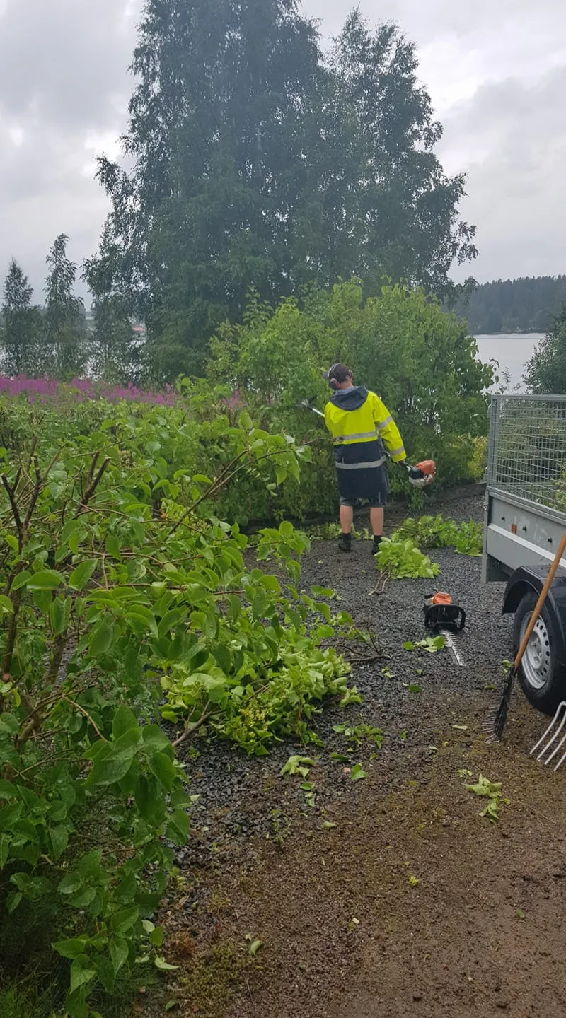 Bilden visar en person som utför trädgårdsarbete. Personen är klädd i en gul reflexjacka och svarta shorts, och bär på en bärbar lövblåsare. De står på en grusgång bredvid en släpvagn och framför några gröna buskar och träd. Det finns en kratta och en lövblåsare på marken nära personen, vilket tyder på att de har varit involverade i att rensa området. I bakgrunden kan man se ett vattenlandskap, förmodligen en sjö, med träd och några högre växter med lila blommor som ger en naturskön vy. Det verkar vara en mulen dag, vilket antyder att det kanske har regnat eller kommer att regna.